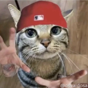 Discord Avatar