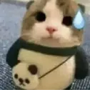 barbaricrex