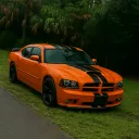 curaitor