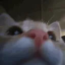 flufi_boi
