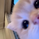 avatar Hi Carter i missssss youuuuuuuuu