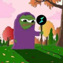 frankwiz