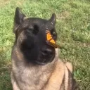 Аватар palm_angeles