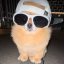 鼻フック近藤