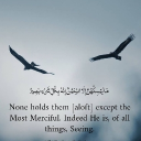 avatar Arkenstone40#7481