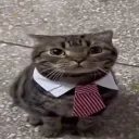 lchigos