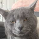 avatar v̲ï̲p̲e̲R̲