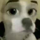 Аватар vurpyys