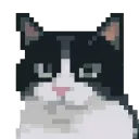 kddi
