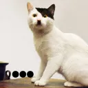ovbykulisblack