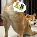 sumisuandhitch