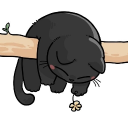 avatar 𝑟𝑎𝑤𝑦𝑎