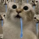 lmssnipz