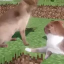 sneakyachtig