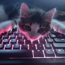 sneakyachtig