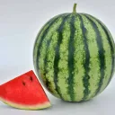 watermelon4592