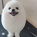 ryryheathheath#2172's avatar