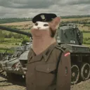 codename_dendro86