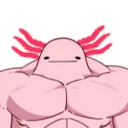 supninja