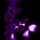 avatar ! 𓆩 𝐆𝐄𝐍𝐄𝐑𝐀𝐋 𓆪