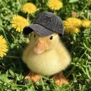 irsmonke_