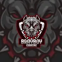 brayboygaming