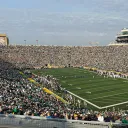 the_big_green_