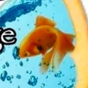 crystalcatgamer