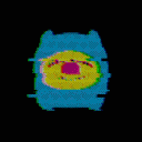najaichii