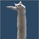 https://cdn.discordapp.com/avatars/811525239771103263/bd894ae1c9e032500683be43a8c99943.jpg?size=128