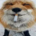 sniffllc avatar