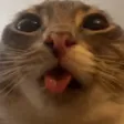 .boteq