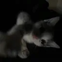 zuhkk