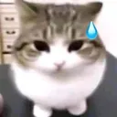 was.u