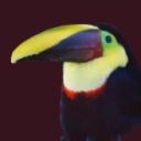 avatar Ilwertornram4