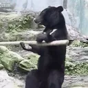 zookfm