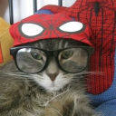 avatar ฅ՞•ﻌ•՞ฅ