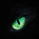 avatar ᴍɴɪɢʜᴛꜰᴜʀʏ