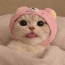 avatar MissJess ⋆ ˚｡⋆୨୧˚