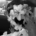 avatar ⋆˚࿔᥎і᥆ᥣᥱ𝗍𝗍𝜗𝜚˚⋆