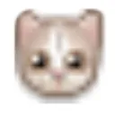 meowsamuelcat