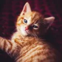 theunknown2291 avatar