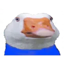 help7779