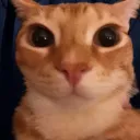 adaptoh