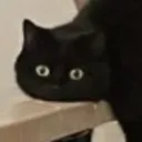 danslalunar
