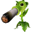 krokodylkul