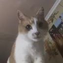 katinsss
