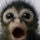 monkey9474