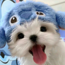 avatar ! ヤ! `Pátrón