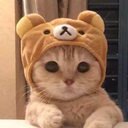 d4rgol
